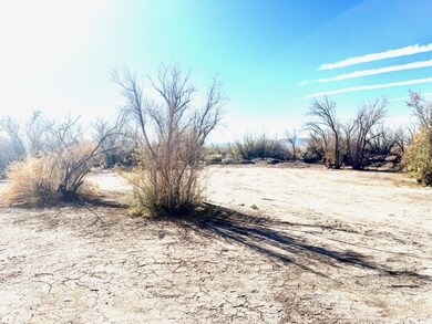 2811 Harold Place, Mohave Valley, AZ 86440 - photo 7