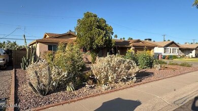 IMG_2374