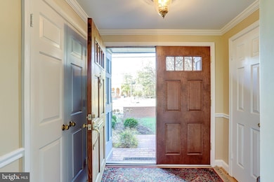 222 Little Falls St, Falls Church, VA 22046 - photo 7