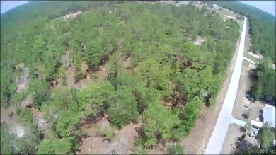 0000 SW Bonable Dr, Dunnellon, FL 34431 - photo 7