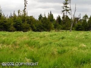 open fields