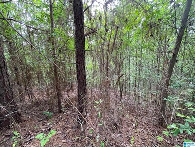 6434 Cambridge Rd unit LOT 30, Pinson, AL 35126 - photo 6