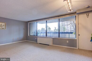 Skyline Plaza unit 116N, Baileys Crossroads, VA 22041 - photo 7