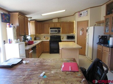 220 SW 12th Ave, Cedaredge, CO 81413 - photo 5