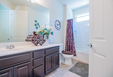 Hall Bathroom