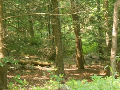 Lot 7 Roaring Brook Rd, Stroud Township, PA 18302 - photo 3
