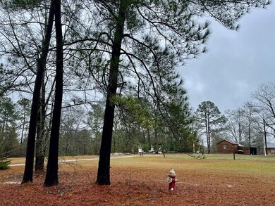 0 S Monroe St, Sylvester, GA 31791 - photo 3