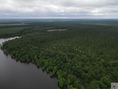 000 S Eagle's Way Llc, Bradley, AR 71845 - photo 6