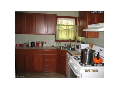 102 Ash St, Lodi, OH 44254 - photo 3