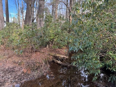 001 Joe Poore Rd, Newland, NC 28657 - photo 2