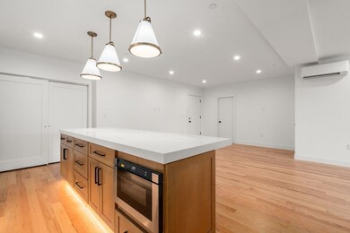 9 Sydney St unit 202, Dorchester, MA 02125 - photo 4