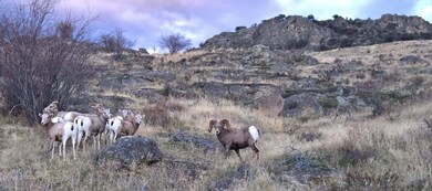 A-2 & A-3 Skyfire Dr, Hamilton, MT 59840 - photo 5