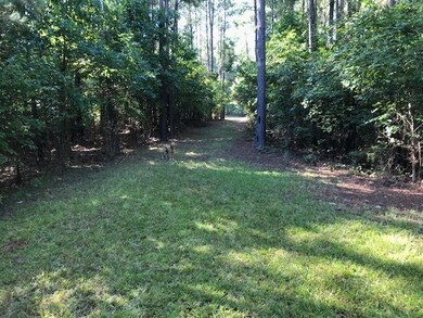 Lot 30 & Savannah Ridge Rd, Lincolnton, GA 30817 - photo 2
