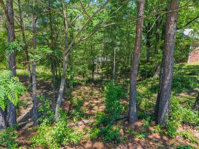 0 Marion Anderson Rd unit 25589639, Hot Springs, AR 71913 - photo 7