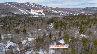 34 Mountain View Loop, Dover, VT 05356 - photo 4