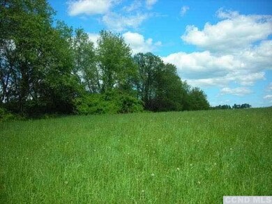 Tree line boundary