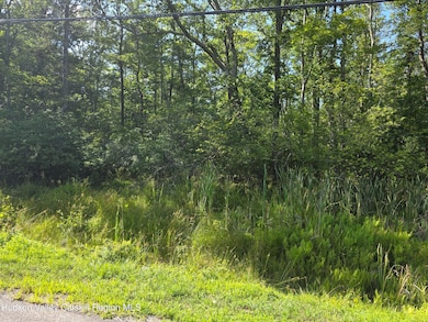 0 Stone Mountain Rd unit 20250692, Round Top, NY 12473 - photo 4