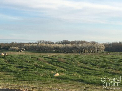 Cherry Orchard