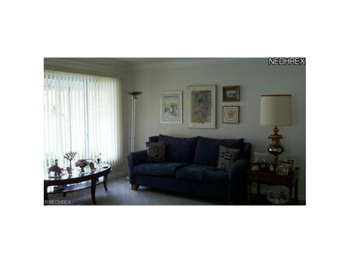Lots of natural light in the neutral living room.
