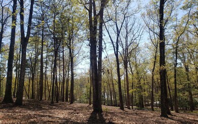 Additional View