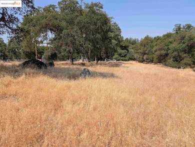 Expansive - Private 5.89 Acre. Gently topography.