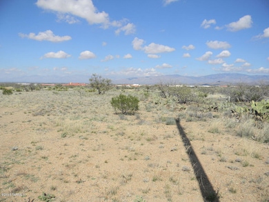 2891 E Sahuarita Rd N, Vail, AZ 85641 - photo 2