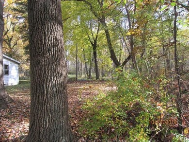 5001 N 325 W, La Porte, IN 46350 - photo 3