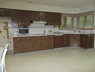 1001 Elm St, Flossmoor, IL 60422 - photo 5