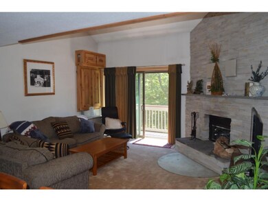 14 Snow Tree Ln unit G, West Dover, VT 05356 - photo 4