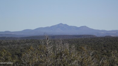DSCF6771