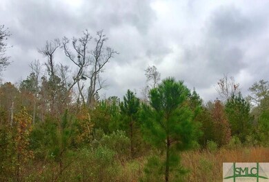 0 Hidden Creek Dr unit 219621, Guyton, GA 31312 - photo 3