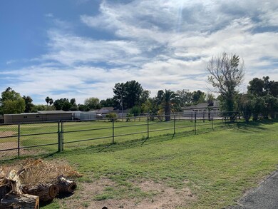 SIDE YARD
