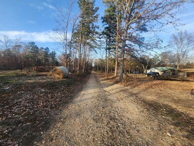 43565 St Highway 181-Pvt Dr-B, Vanzant, MO 65768 - photo 6