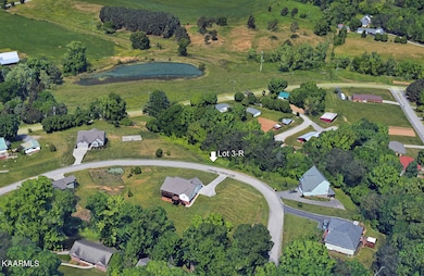 View of pond