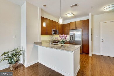 8005 13th St unit 303, Silver Spring, MD 20910 - photo 4