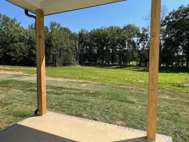 2392 Beverly Gail Rd, Pleasant View, TN 37146 - photo 5