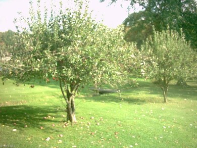 3872 Cook Rd, Rootstown, OH 44272 - photo 6