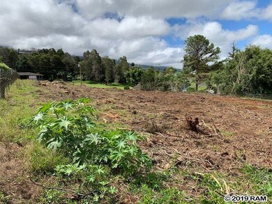 23 Upu Place, Kula, HI 96790 - photo 6