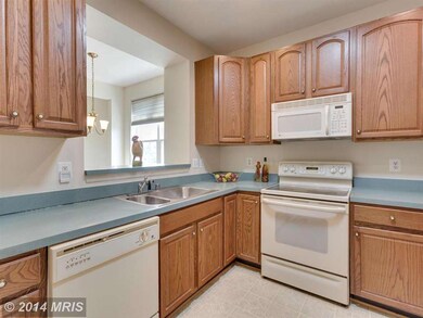 13741 Currant Loop, Gainesville, VA 20155 - photo 3