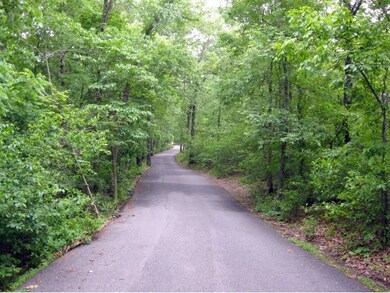 Lot 5 Hunters Glen, Kimberling City, MO 65686 - photo 4