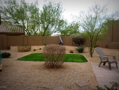 Back Yard a