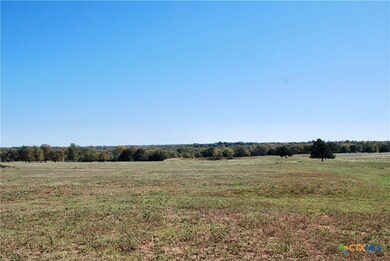TBD US 90, Schulenburg, TX 78956 - photo 7