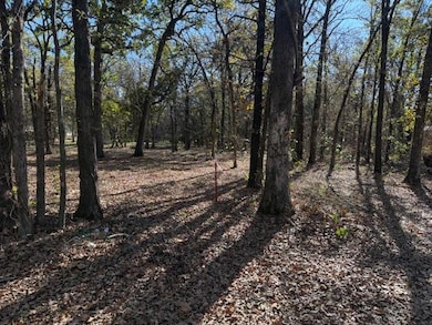 1698 Boat Ramp Rd, Kingston, OK 73439 - photo 2