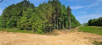 Lot B-1 Hawks Perch, Disputanta, VA 23842 - photo 4