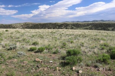 4970 Centennial Ranch, Westcliffe, CO 81252 - photo 4