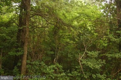 23284 Monrovia Rd, Orange, VA 22960 - photo 3