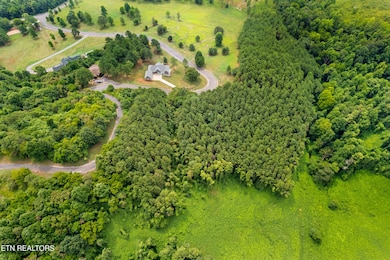DJI_0485-HDR_1
