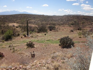 More desert views