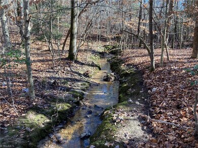 0 Nc Highway 134 N unit 1054741, Star, NC 27375 - photo 7