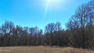 DJI_20240214124428_0073_D